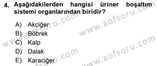 Temel Bakım ve Rehabilitasyon 1 Dersi 2022 - 2023 Yılı Yaz Okulu Sınav Soruları 4. Soru