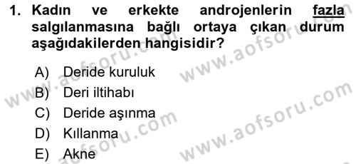 Temel Bakım ve Rehabilitasyon 1 Dersi 2023 - 2024 Yılı (Vize) Ara Sınav Soruları 1. Soru