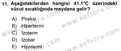 Temel Bakım ve Rehabilitasyon 1 Dersi 2023 - 2024 Yılı (Vize) Ara Sınav Soruları 11. Soru