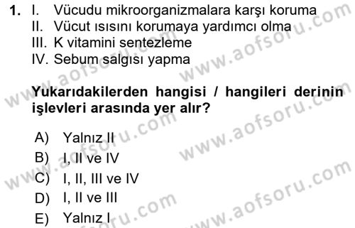 Temel Bakım ve Rehabilitasyon 1 Dersi 2023 - 2024 Yılı (Final) Dönem Sonu Sınav Soruları 1. Soru