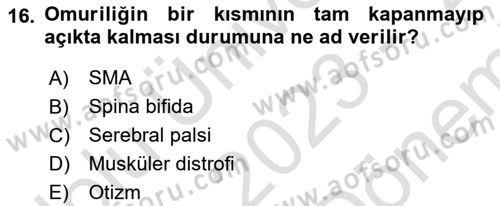 Temel Bakım ve Rehabilitasyon 1 Dersi 2023 - 2024 Yılı (Final) Dönem Sonu Sınav Soruları 16. Soru