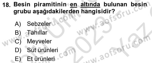 Temel Bakım ve Rehabilitasyon 1 Dersi 2023 - 2024 Yılı Yaz Okulu Sınav Soruları 18. Soru