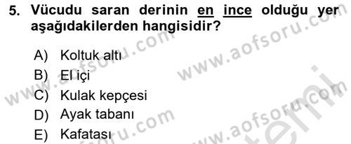 Temel Bakım ve Rehabilitasyon 1 Dersi 2023 - 2024 Yılı Yaz Okulu Sınav Soruları 5. Soru