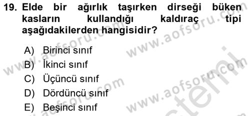 Temel Bakım ve Rehabilitasyon 1 Dersi 2024 - 2025 Yılı (Vize) Ara Sınav Soruları 19. Soru