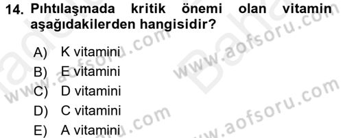 Temel Beslenme İlkeleri Dersi 2017 - 2018 Yılı (Vize) Ara Sınav Soruları 14. Soru