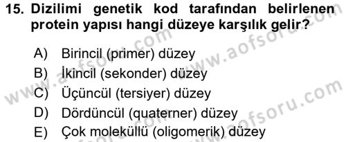 Temel Beslenme İlkeleri Dersi 2017 - 2018 Yılı (Vize) Ara Sınav Soruları 15. Soru
