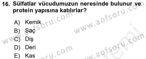 Temel Beslenme İlkeleri Dersi 2017 - 2018 Yılı (Vize) Ara Sınav Soruları 16. Soru