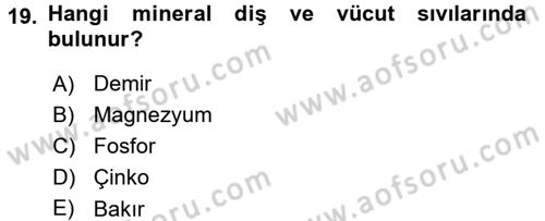 Temel Beslenme İlkeleri Dersi 2017 - 2018 Yılı (Vize) Ara Sınav Soruları 19. Soru
