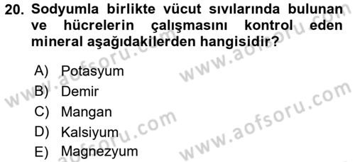 Temel Beslenme İlkeleri Dersi 2017 - 2018 Yılı (Vize) Ara Sınav Soruları 20. Soru