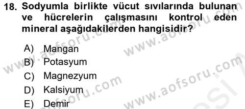 Temel Beslenme İlkeleri Dersi 2017 - 2018 Yılı (Final) Dönem Sonu Sınav Soruları 18. Soru