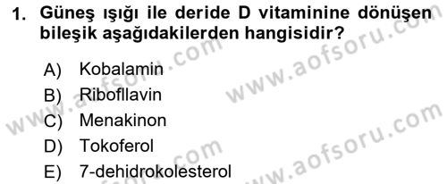 Temel Beslenme İlkeleri Dersi 2018 - 2019 Yılı 3 Ders Sınav Soruları 1. Soru