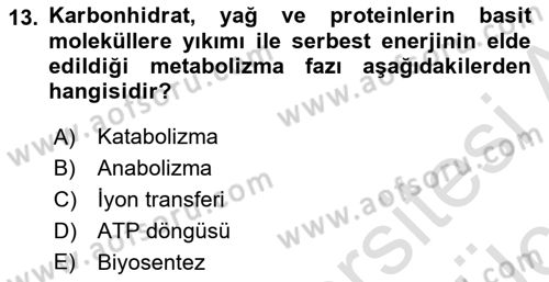 Temel Beslenme İlkeleri Dersi 2018 - 2019 Yılı 3 Ders Sınav Soruları 13. Soru