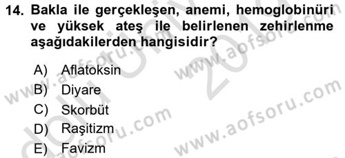 Temel Beslenme İlkeleri Dersi 2018 - 2019 Yılı 3 Ders Sınav Soruları 14. Soru
