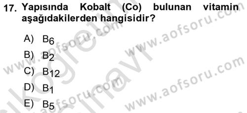 Temel Beslenme İlkeleri Dersi 2018 - 2019 Yılı 3 Ders Sınav Soruları 17. Soru