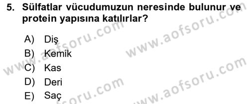 Temel Beslenme İlkeleri Dersi 2018 - 2019 Yılı 3 Ders Sınav Soruları 5. Soru