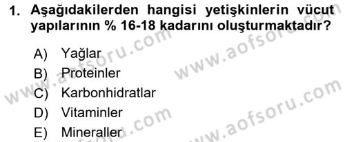 Temel Beslenme İlkeleri Dersi 2018 - 2019 Yılı (Vize) Ara Sınav Soruları 1. Soru