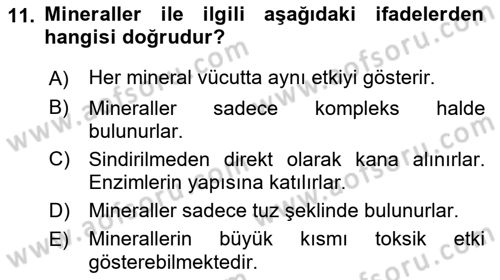 Temel Beslenme İlkeleri Dersi 2018 - 2019 Yılı (Vize) Ara Sınav Soruları 11. Soru