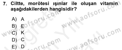 Temel Beslenme İlkeleri Dersi 2018 - 2019 Yılı (Vize) Ara Sınav Soruları 7. Soru