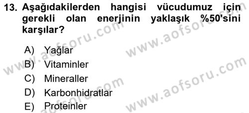 Temel Beslenme İlkeleri Dersi 2018 - 2019 Yılı (Final) Dönem Sonu Sınav Soruları 13. Soru