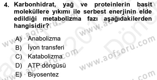 Temel Beslenme İlkeleri Dersi 2018 - 2019 Yılı (Final) Dönem Sonu Sınav Soruları 4. Soru