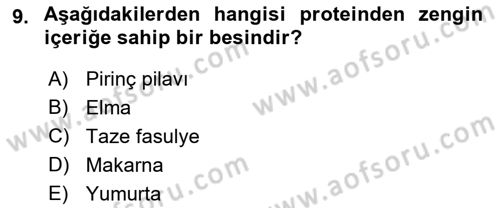 Temel Beslenme İlkeleri Dersi 2018 - 2019 Yılı (Final) Dönem Sonu Sınav Soruları 9. Soru