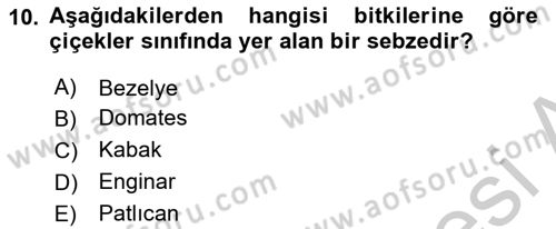 Temel Beslenme İlkeleri Dersi 2018 - 2019 Yılı Yaz Okulu Sınav Soruları 10. Soru