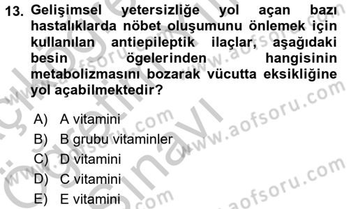 Temel Beslenme İlkeleri Dersi 2018 - 2019 Yılı Yaz Okulu Sınav Soruları 13. Soru