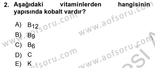 Temel Beslenme İlkeleri Dersi 2018 - 2019 Yılı Yaz Okulu Sınav Soruları 2. Soru