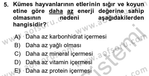 Temel Beslenme İlkeleri Dersi 2018 - 2019 Yılı Yaz Okulu Sınav Soruları 5. Soru
