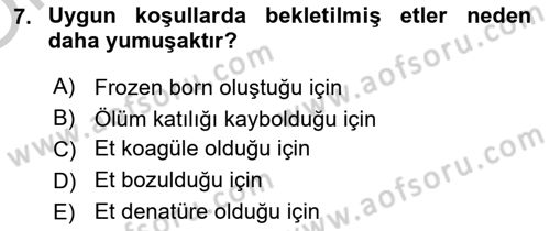 Temel Beslenme İlkeleri Dersi 2018 - 2019 Yılı Yaz Okulu Sınav Soruları 7. Soru
