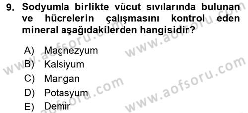 Temel Beslenme İlkeleri Dersi 2018 - 2019 Yılı Yaz Okulu Sınav Soruları 9. Soru
