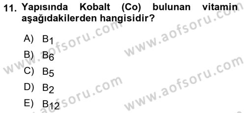 Temel Beslenme İlkeleri Dersi 2020 - 2021 Yılı Yaz Okulu Sınav Soruları 11. Soru