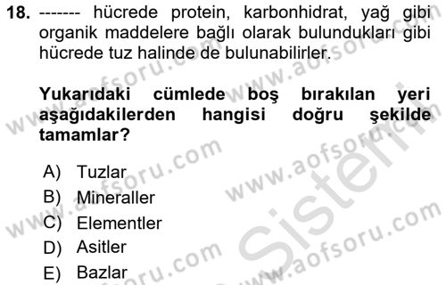 Temel Beslenme İlkeleri Dersi 2020 - 2021 Yılı Yaz Okulu Sınav Soruları 18. Soru