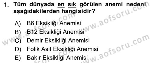 Temel Beslenme İlkeleri Dersi 2021 - 2022 Yılı (Vize) Ara Sınav Soruları 1. Soru