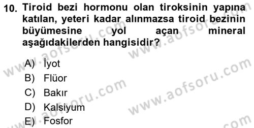 Temel Beslenme İlkeleri Dersi 2021 - 2022 Yılı (Vize) Ara Sınav Soruları 10. Soru