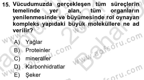 Temel Beslenme İlkeleri Dersi 2021 - 2022 Yılı (Vize) Ara Sınav Soruları 15. Soru