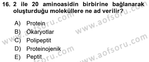 Temel Beslenme İlkeleri Dersi 2021 - 2022 Yılı (Vize) Ara Sınav Soruları 16. Soru