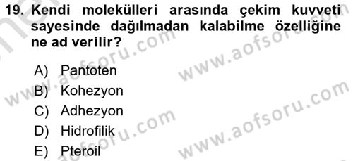 Temel Beslenme İlkeleri Dersi 2021 - 2022 Yılı (Vize) Ara Sınav Soruları 19. Soru