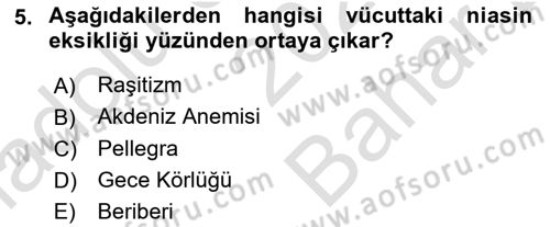 Temel Beslenme İlkeleri Dersi 2021 - 2022 Yılı (Vize) Ara Sınav Soruları 5. Soru