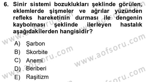 Temel Beslenme İlkeleri Dersi 2021 - 2022 Yılı (Vize) Ara Sınav Soruları 6. Soru