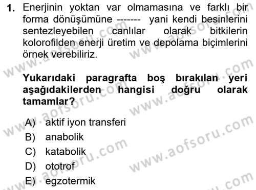 Temel Beslenme İlkeleri Dersi 2021 - 2022 Yılı (Final) Dönem Sonu Sınav Soruları 1. Soru