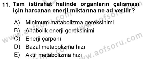 Temel Beslenme İlkeleri Dersi 2021 - 2022 Yılı (Final) Dönem Sonu Sınav Soruları 11. Soru