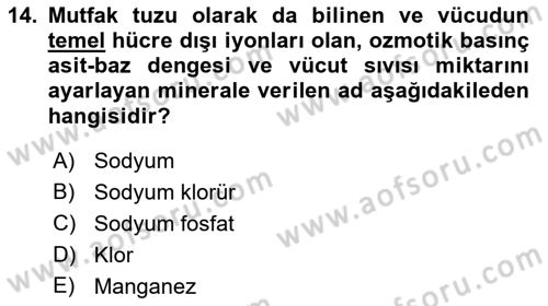 Temel Beslenme İlkeleri Dersi 2021 - 2022 Yılı (Final) Dönem Sonu Sınav Soruları 14. Soru