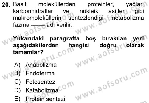Temel Beslenme İlkeleri Dersi 2021 - 2022 Yılı (Final) Dönem Sonu Sınav Soruları 20. Soru