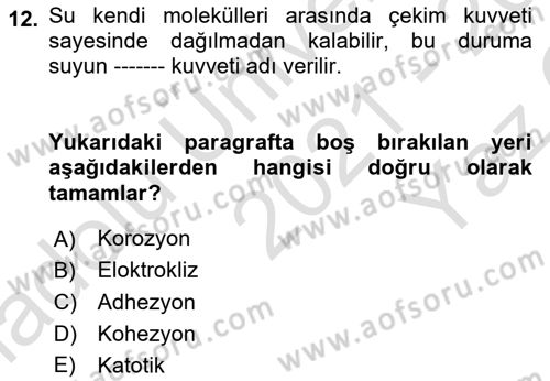Temel Beslenme İlkeleri Dersi 2021 - 2022 Yılı Yaz Okulu Sınav Soruları 12. Soru