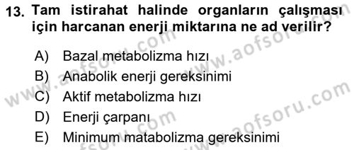 Temel Beslenme İlkeleri Dersi 2021 - 2022 Yılı Yaz Okulu Sınav Soruları 13. Soru