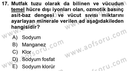 Temel Beslenme İlkeleri Dersi 2021 - 2022 Yılı Yaz Okulu Sınav Soruları 17. Soru
