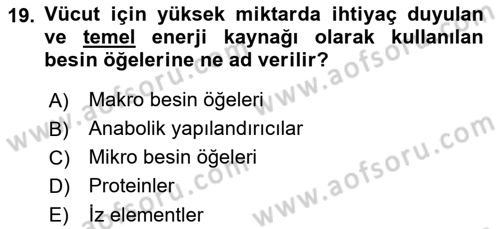Temel Beslenme İlkeleri Dersi 2021 - 2022 Yılı Yaz Okulu Sınav Soruları 19. Soru
