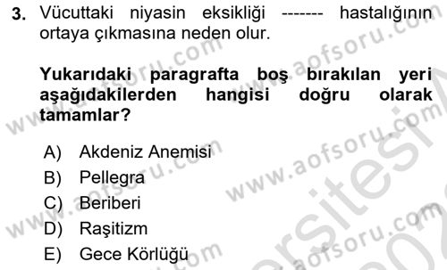 Temel Beslenme İlkeleri Dersi 2021 - 2022 Yılı Yaz Okulu Sınav Soruları 3. Soru