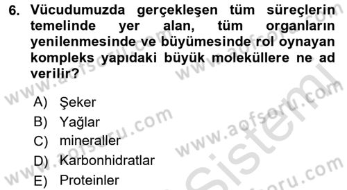 Temel Beslenme İlkeleri Dersi 2021 - 2022 Yılı Yaz Okulu Sınav Soruları 6. Soru